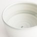 画像5: 【FUDE-MAKI】小抹茶碗　白</br>【FUDE-MAKI】Small Matcha Cup White (5)