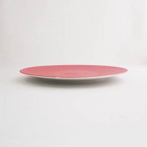 画像2: 【SHIBUKI】22cmプレート　赤 【SHIBUKI】22cm Plate Red