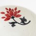 画像5: 【SEKI-HEKI】13cm丼 【SEKI-HEKI】13cm Bowl