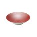 画像1: 【SHIBUKI】24.5cmボウル　赤</br>【SHIBUKI】24.5cm Bowl Red (1)