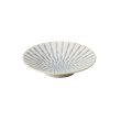 画像1: 【GEKKO -月光-】6.5寸浅鉢　白 【GEKKO -月光-】20cm Shallow Bowl White (1)