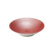 画像1: 【SHIBUKI】24.5cmボウル　赤 【SHIBUKI】24.5cm Bowl Red (1)